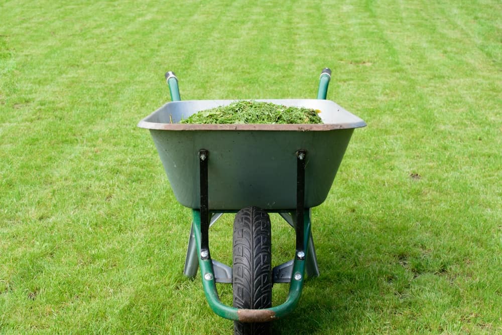 Green Waste Removal Services Dump Runners Brisbane